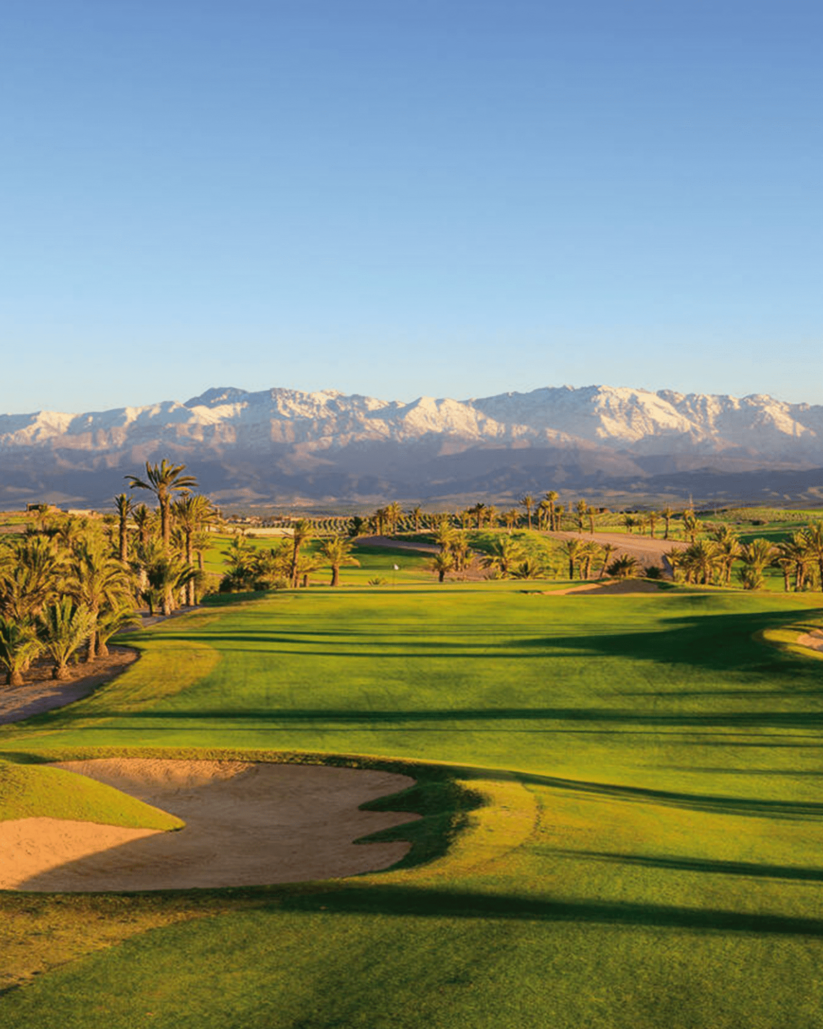 Photo 13 - Tournaments - TARA GOLF CUP